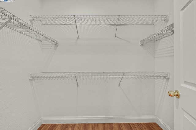 walk in closet with hardwood / wood-style floors