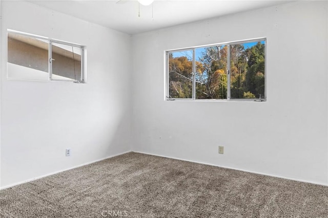 unfurnished room featuring ceiling fan and carpet flooring