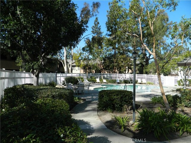 view of pool featuring a patio