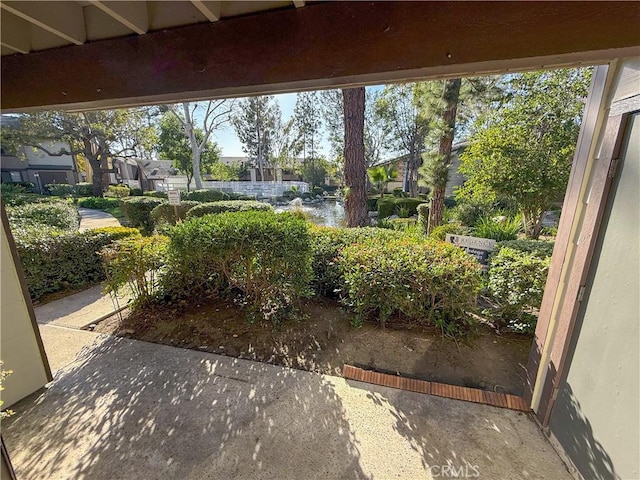 view of yard featuring a patio area