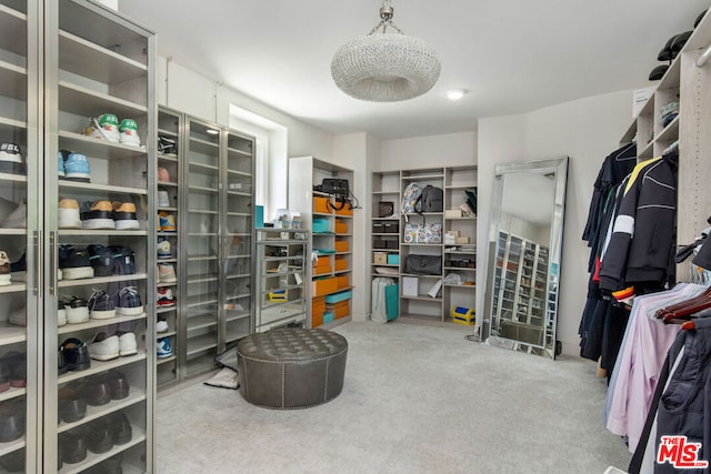 walk in closet with carpet flooring