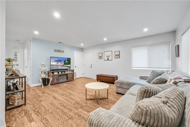 living room featuring light hardwood / wood-style flooring