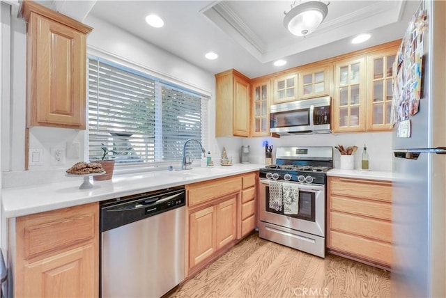 kitchen featuring light brown cabinetry, stainless steel appliances, and a raised ceiling