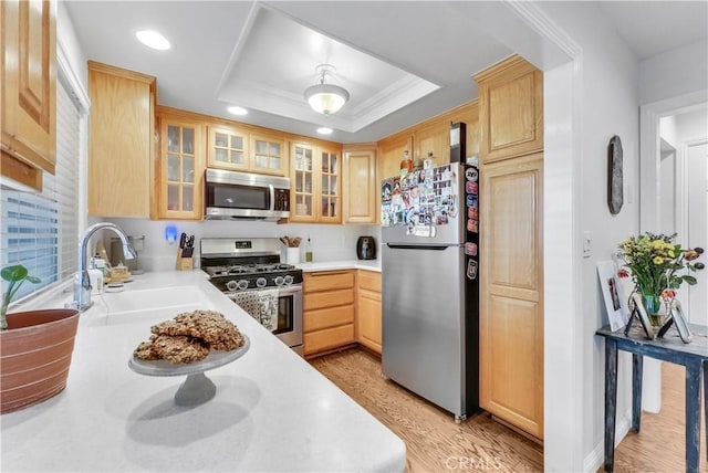 kitchen with sink, light brown cabinets, a raised ceiling, and appliances with stainless steel finishes