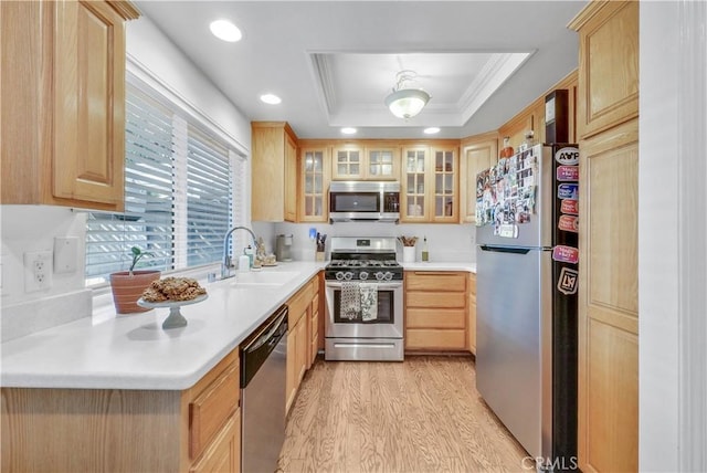 kitchen with sink, light hardwood / wood-style flooring, light brown cabinets, appliances with stainless steel finishes, and a tray ceiling