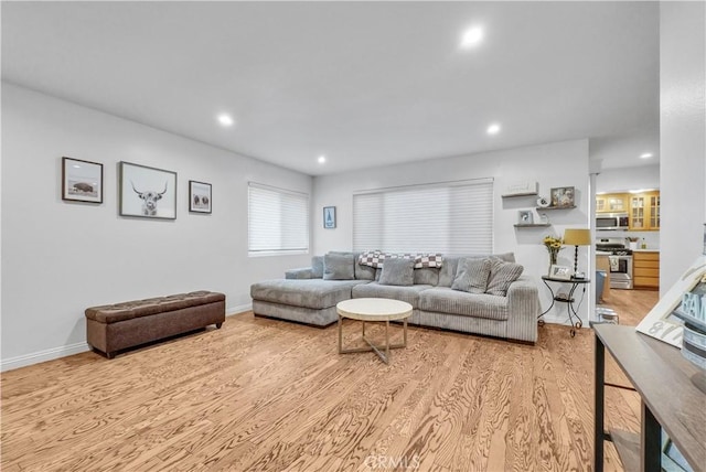 living room featuring light hardwood / wood-style floors