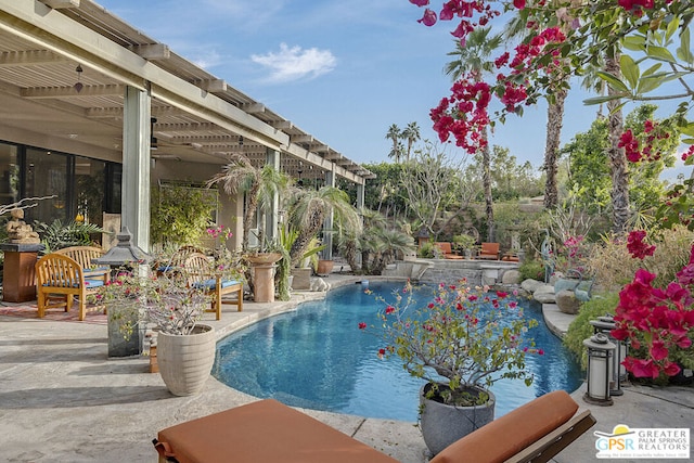 view of pool featuring a patio and a pergola