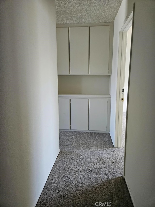 hall with carpet and a textured ceiling