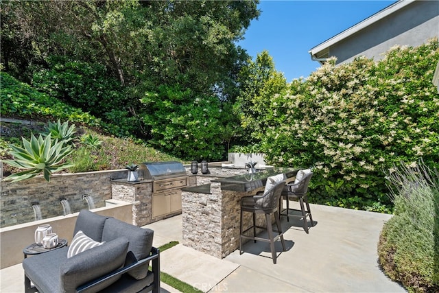 view of patio with an outdoor kitchen, grilling area, and an outdoor bar