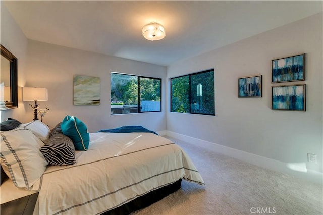 bedroom featuring carpet