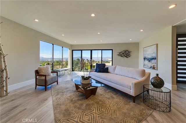 living room with light hardwood / wood-style flooring