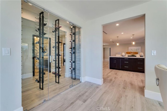 wine cellar featuring light hardwood / wood-style floors