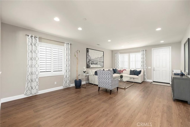 living room featuring hardwood / wood-style floors