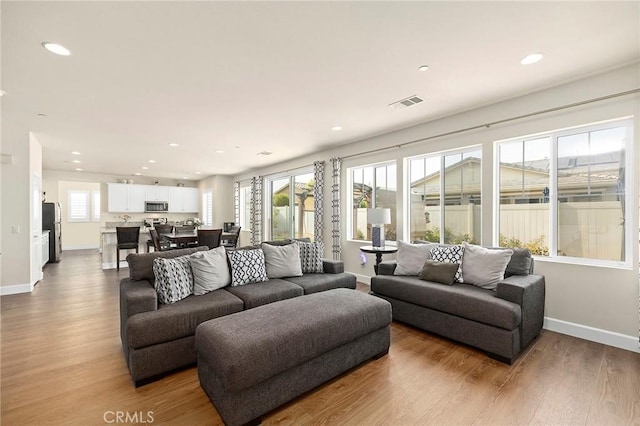 living room featuring hardwood / wood-style floors