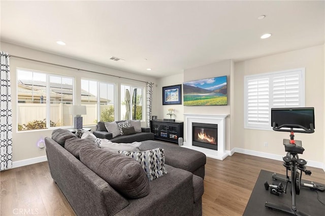 living room featuring dark wood-type flooring