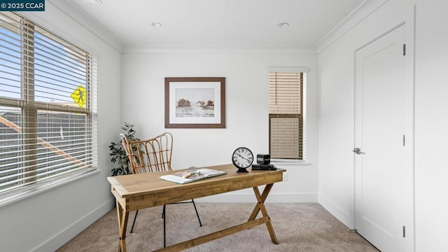 carpeted office featuring crown molding and a wealth of natural light