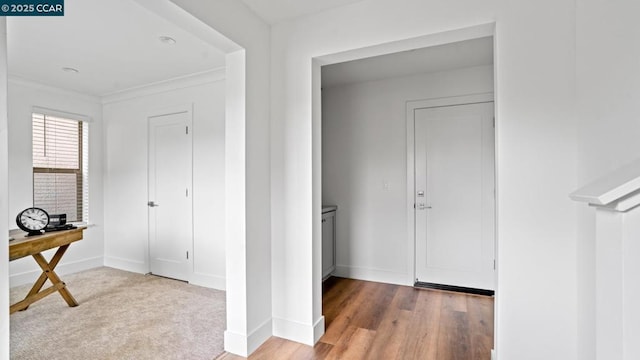 hall featuring wood-type flooring