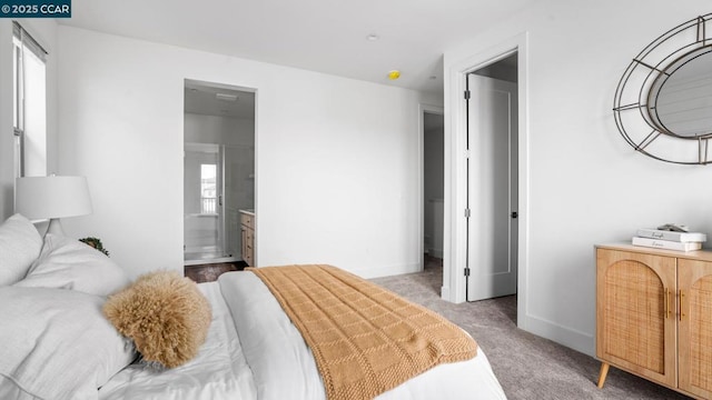 carpeted bedroom featuring multiple windows and ensuite bath