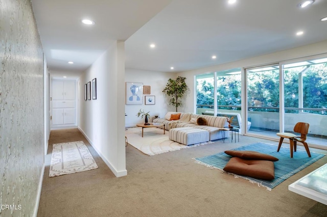 living room with carpet