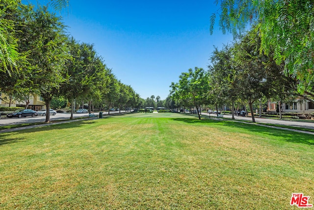 surrounding community with a lawn