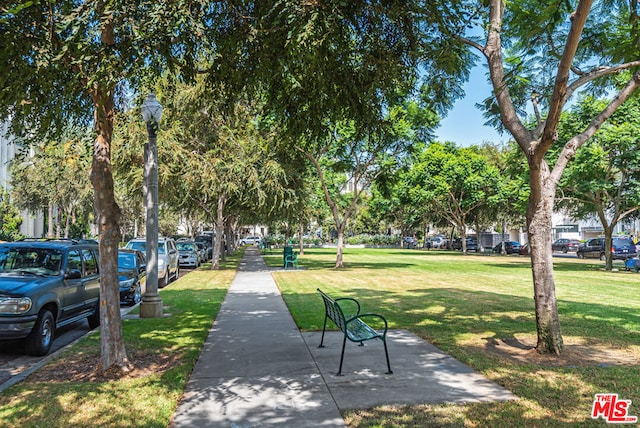 view of home's community with a yard