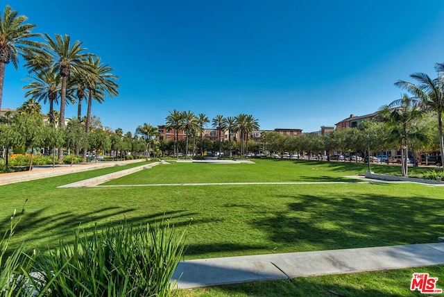 view of home's community with a lawn