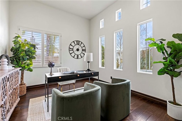 office space featuring a healthy amount of sunlight and dark hardwood / wood-style floors