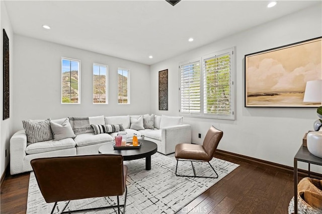 living room featuring dark wood-type flooring