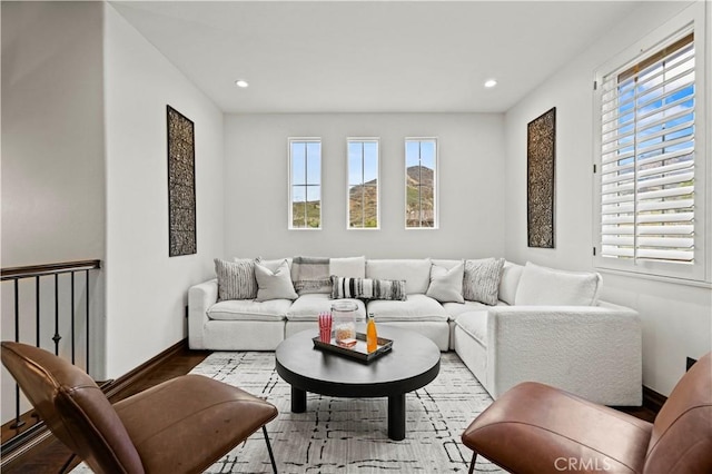 living room with wood-type flooring and a wealth of natural light