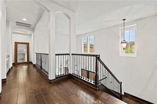 hall featuring dark hardwood / wood-style flooring and a wealth of natural light