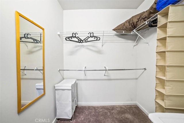 spacious closet with dark colored carpet