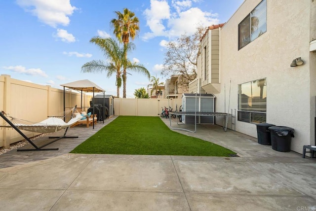 view of yard with a patio and a storage unit