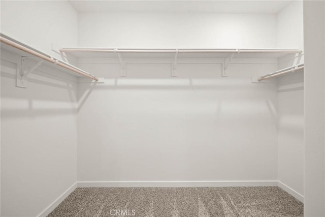 spacious closet with carpet floors