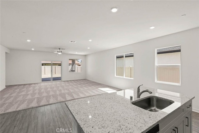 kitchen with light stone countertops, sink, a kitchen island with sink, and light wood-type flooring