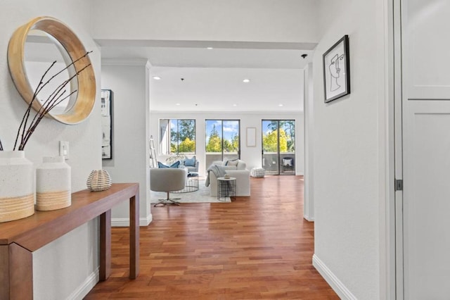 hall featuring wood-type flooring