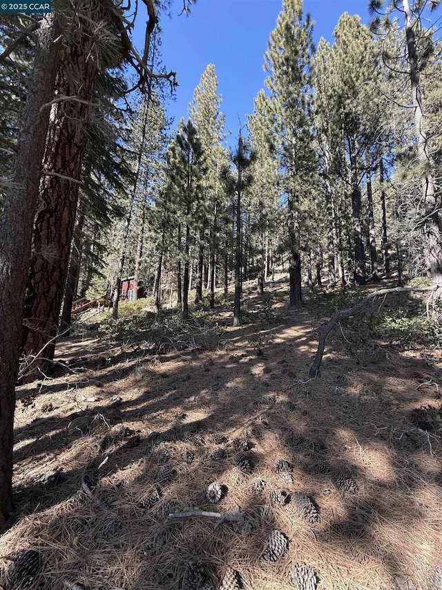 12442 Richards Blvd, Truckee CA, 96161 land for sale