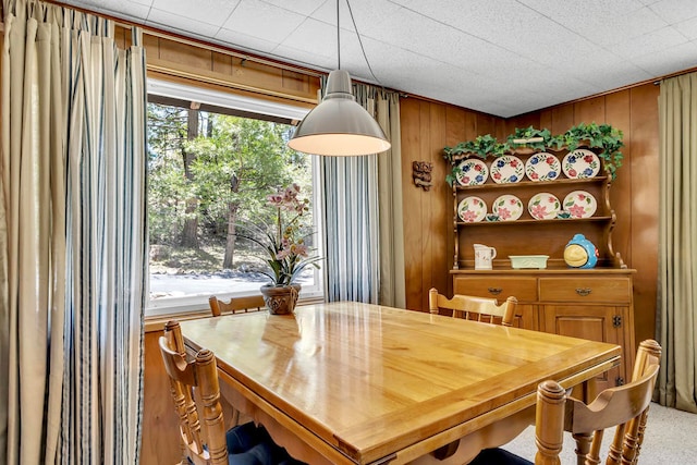 dining area featuring wooden walls and a healthy amount of sunlight