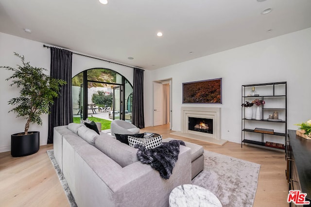 living room featuring light hardwood / wood-style floors