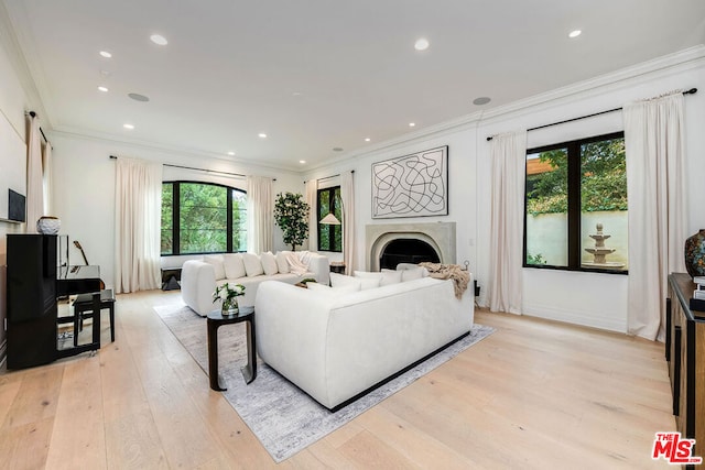 living room with ornamental molding and light hardwood / wood-style flooring