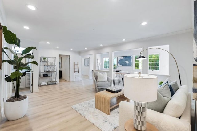 living room with ornamental molding and light hardwood / wood-style flooring