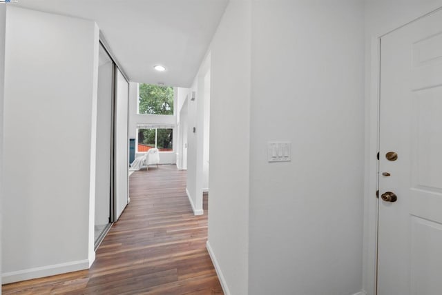 hall with dark hardwood / wood-style floors