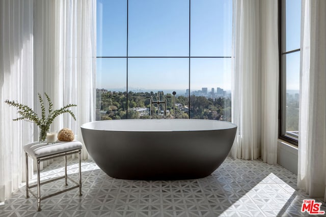 bathroom with a bath and a wealth of natural light