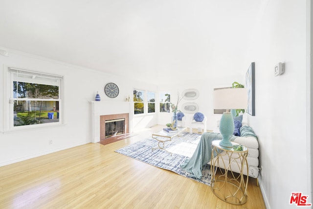 living room featuring hardwood / wood-style flooring