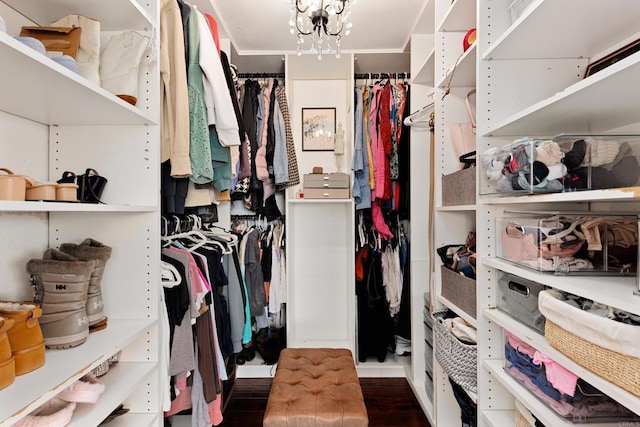 walk in closet with a notable chandelier and dark hardwood / wood-style flooring