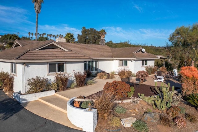 view of front of house featuring a patio area