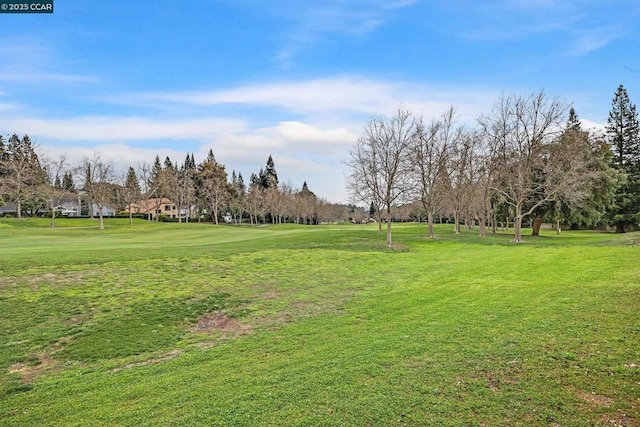 view of property's community with a yard