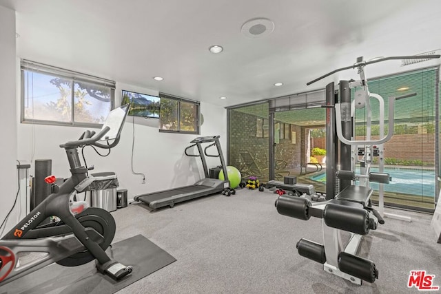 exercise room featuring a healthy amount of sunlight