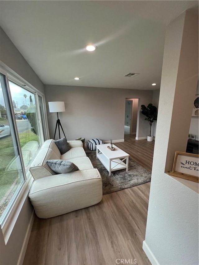 living room with wood-type flooring