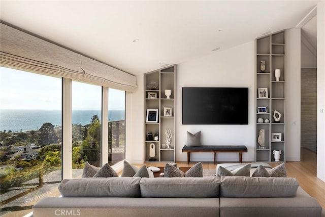 living room with light hardwood / wood-style floors and vaulted ceiling