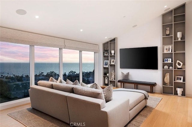 living room featuring hardwood / wood-style floors